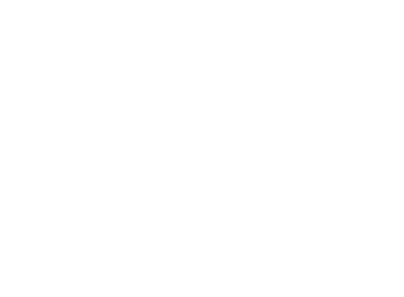 Ashley Stewart Identicom